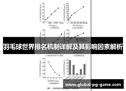 羽毛球世界排名机制详解及其影响因素解析