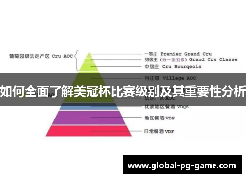 如何全面了解美冠杯比赛级别及其重要性分析