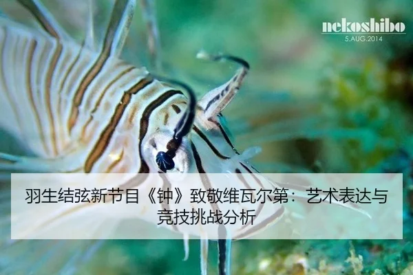 yu-sheng-jie-xian-xin-jie-mu-zhong-zhi-jing-wei-wa-er-di-yi-shu-biao-da-yu-jing-ji-tiao-zhan-fen-xi-3-525.jpg